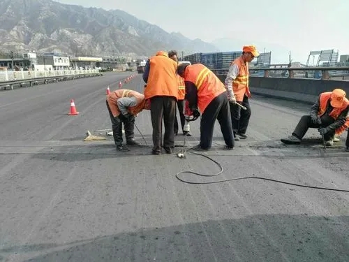 港口镇道路桥梁病害治理